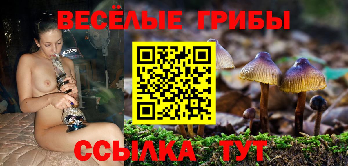 Галлюциногенные грибы мухоморы Гудермес