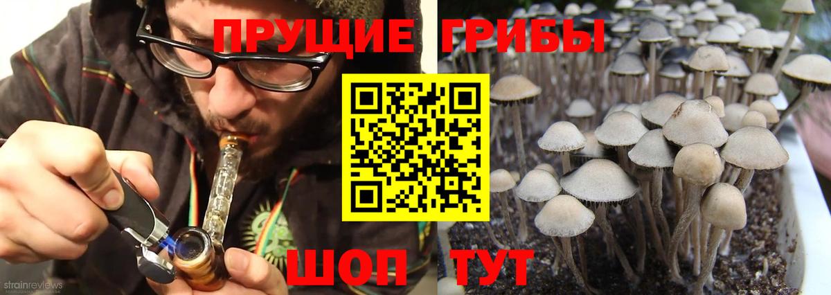 Псилоцибиновые грибы мухоморы  Галлюциногенные грибы мухоморы  Вход с VPN  Гудермес 