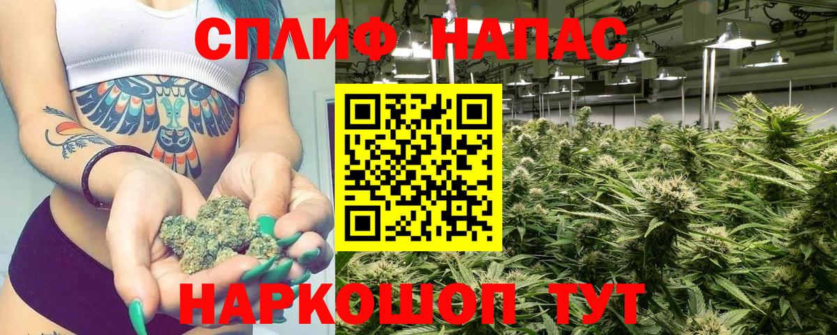 Канабис планчик  Марихуана White Widow  Гудермес  Марихуана семена  Вход с VPN 
